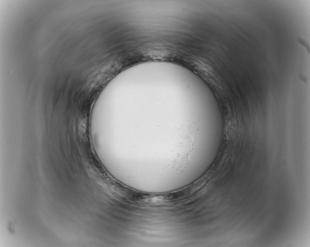 X0000103280365200808291051