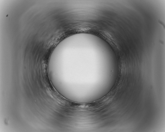 X0000103280366200808291051