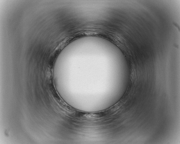 X0000103280367200808291051