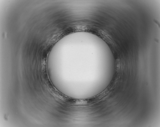 X0000103280369200808291051