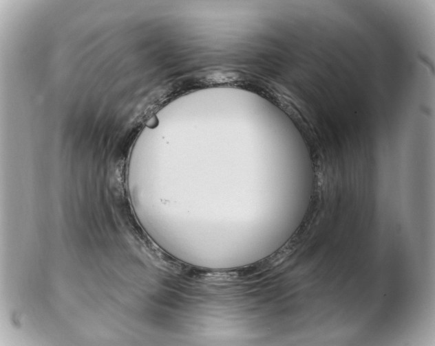 X0000103280373200808291051