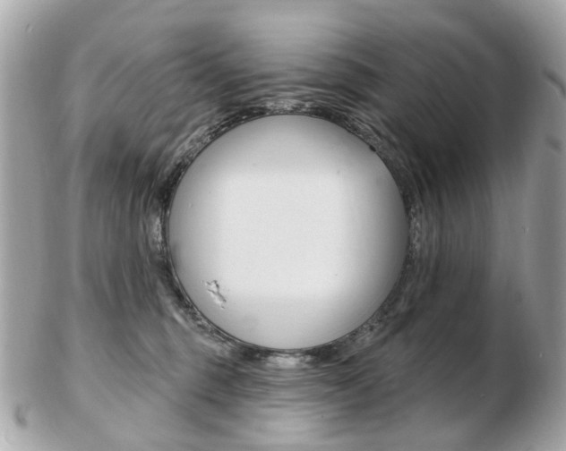 X0000103280375200808291051
