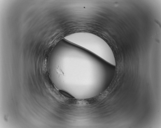 X0000103280376200808291051