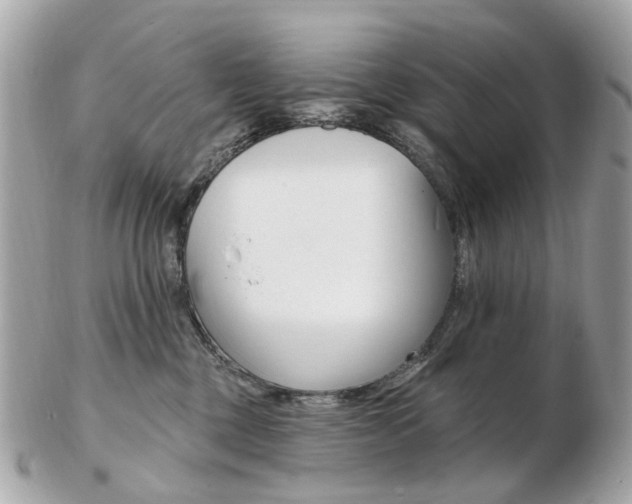 X0000103280377200808291051
