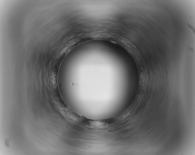 X0000103280380200808291051