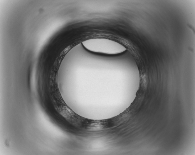 X0000103280381200808291051