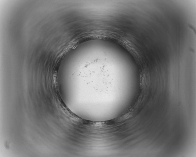 X0000103280382200808291051