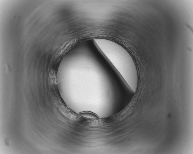 X0000103280384200808291051