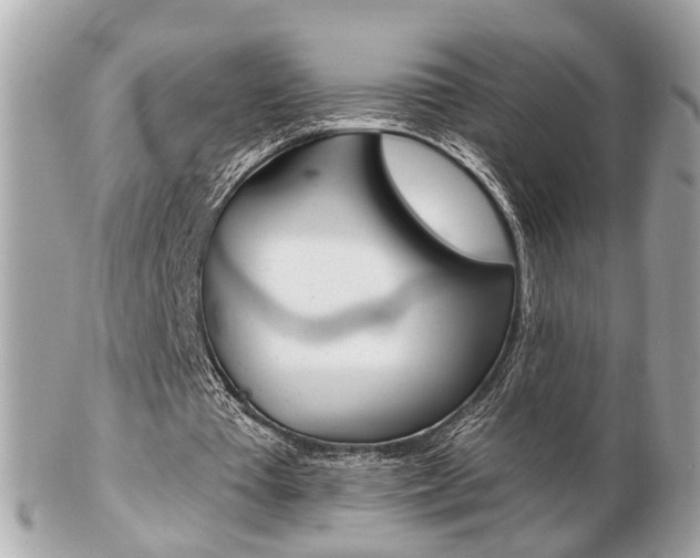 X0000103280385200808291050