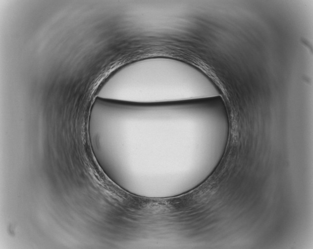 X0000103280386200808291050