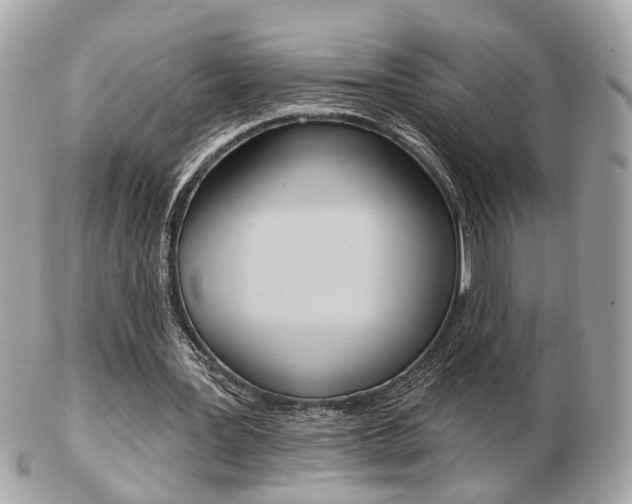 X0000103280387200808291050