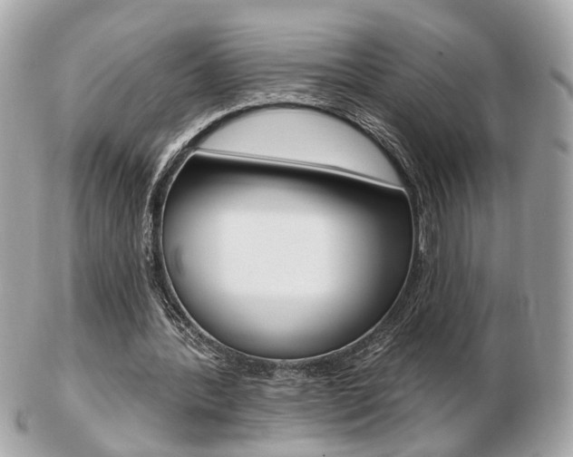 X0000103280388200808291050