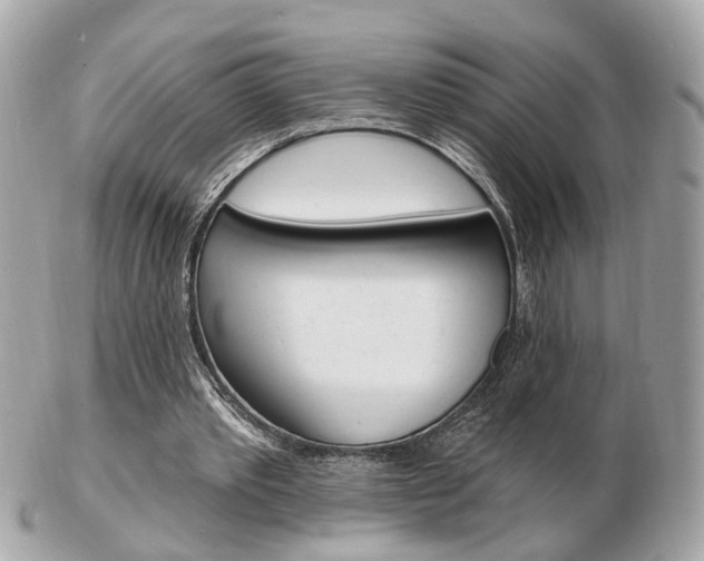 X0000103280389200808291050