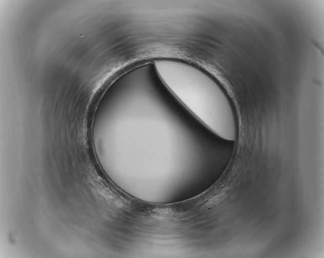 X0000103280391200808291050