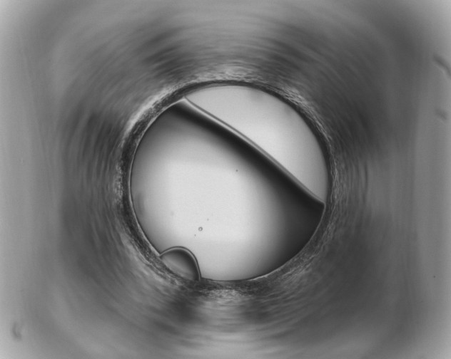 X0000103280392200808291050