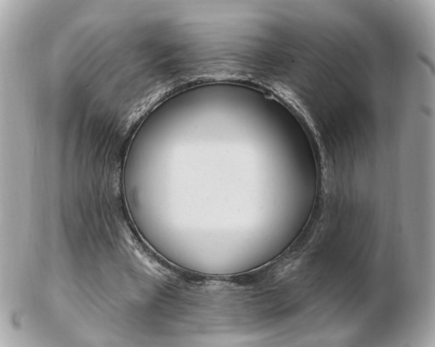 X0000103280393200808291050