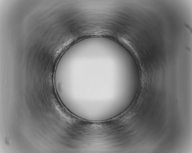 X0000103280394200808291050