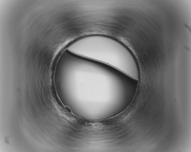 X0000103280395200808291050