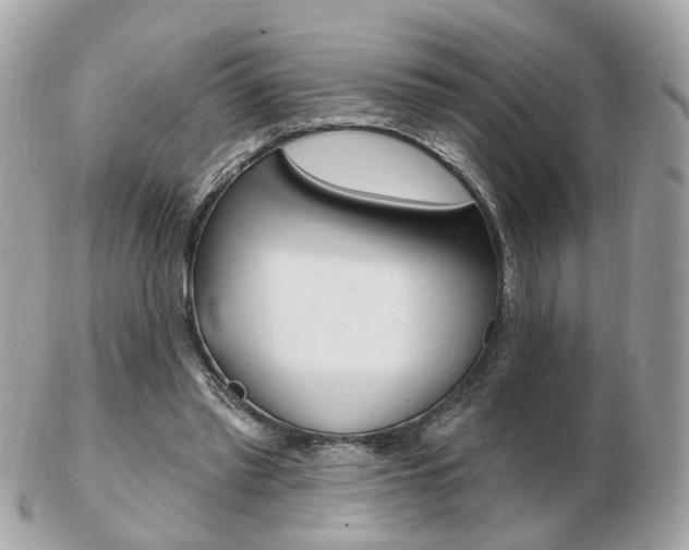 X0000103280397200808291050