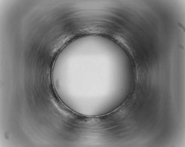 X0000103280398200808291050
