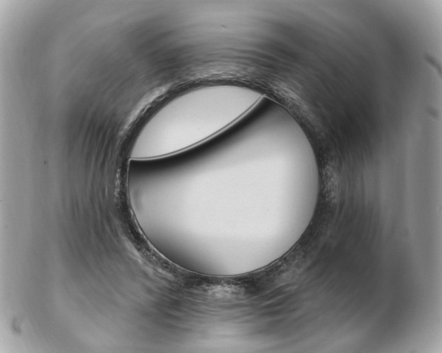 X0000103280400200808291050