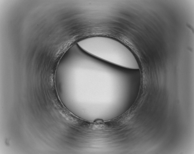 X0000103280401200808291050