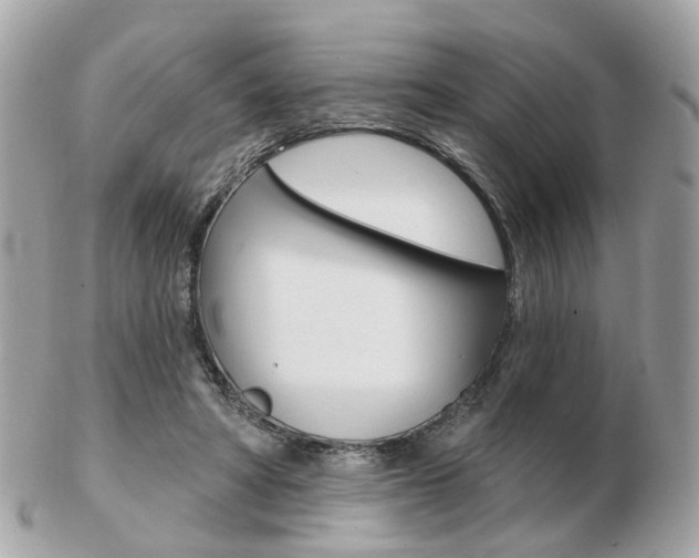 X0000103280402200808291050