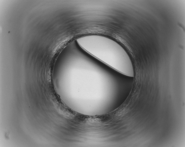X0000103280403200808291050