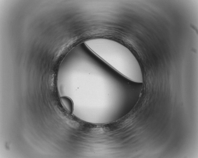 X0000103280404200808291050