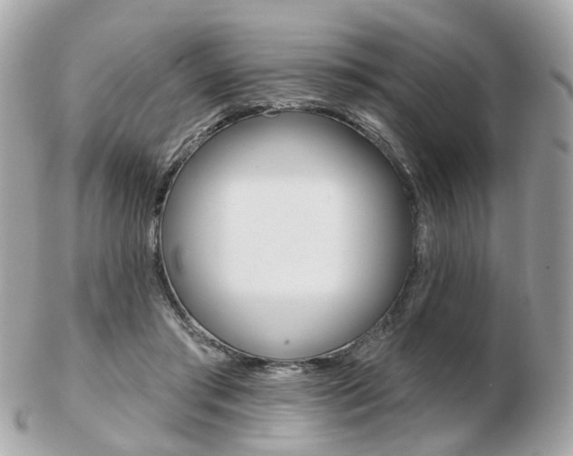 X0000103280405200808291050