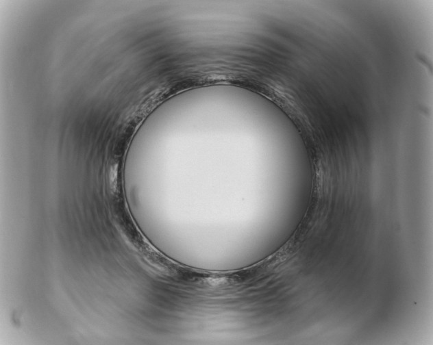 X0000103280406200808291050