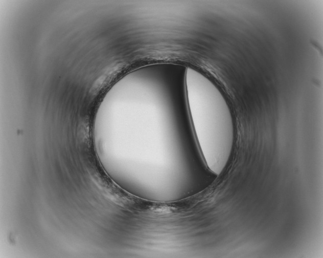 X0000103280407200808291050