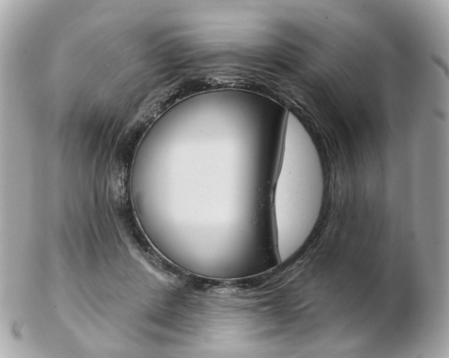 X0000103280408200808291050