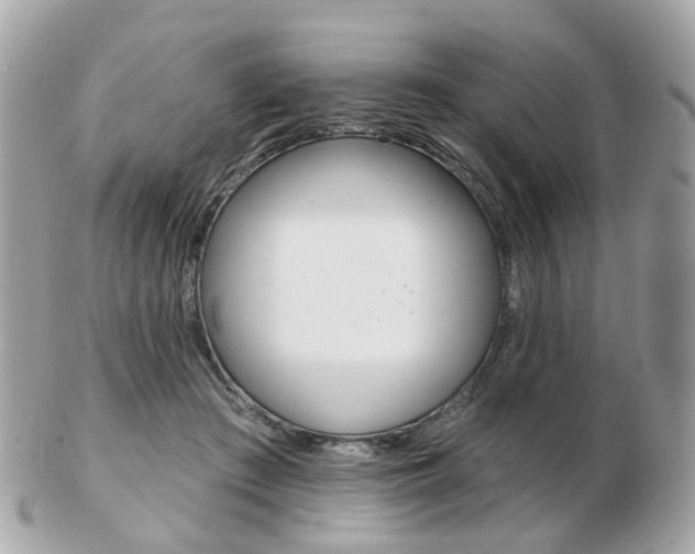 X0000103280409200808291050