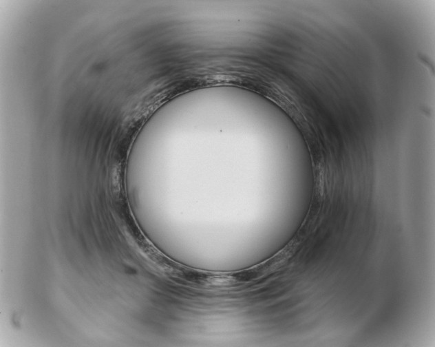 X0000103280410200808291050
