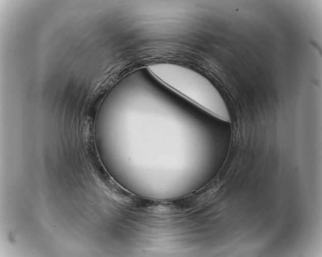 X0000103280412200808291050