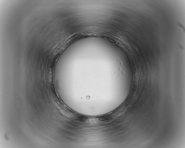 X0000103280413200808291050