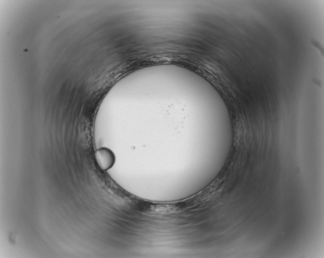 X0000103280414200808291050