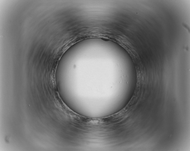 X0000103280415200808291050