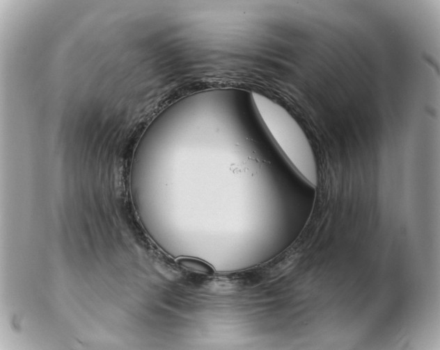 X0000103280416200808291050