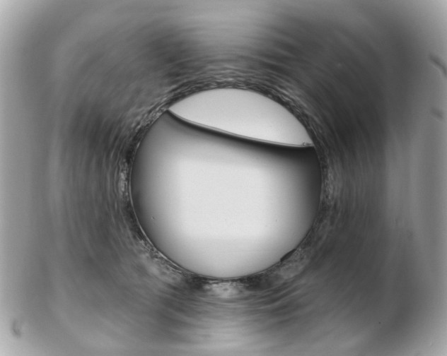 X0000103280417200808291050