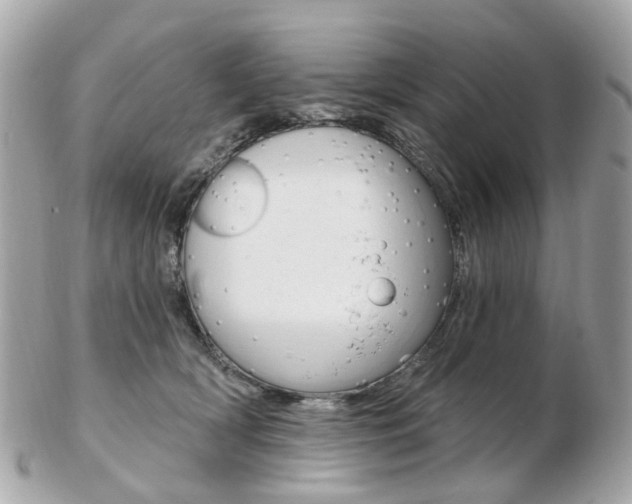 X0000103280418200808291050
