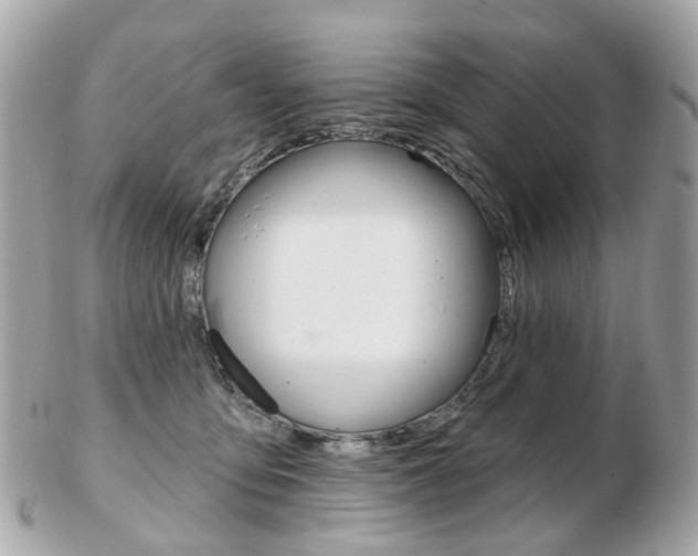X0000103280419200808291050