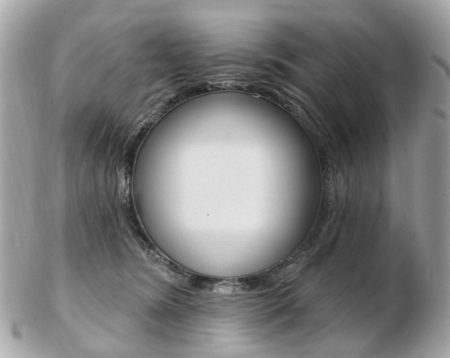 X0000103280420200808291050