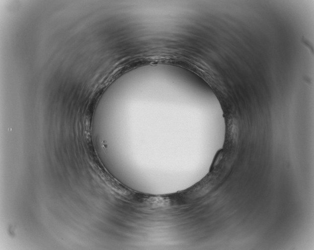 X0000103280421200808291050