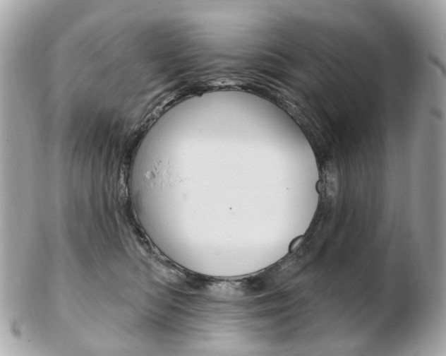X0000103280422200808291050