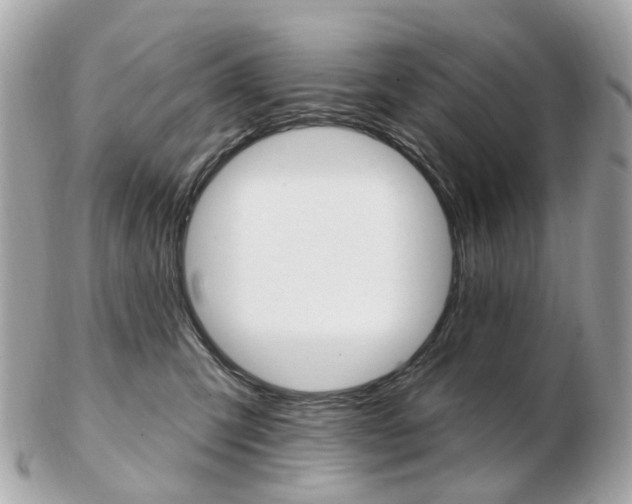 X0000103280423200808291050