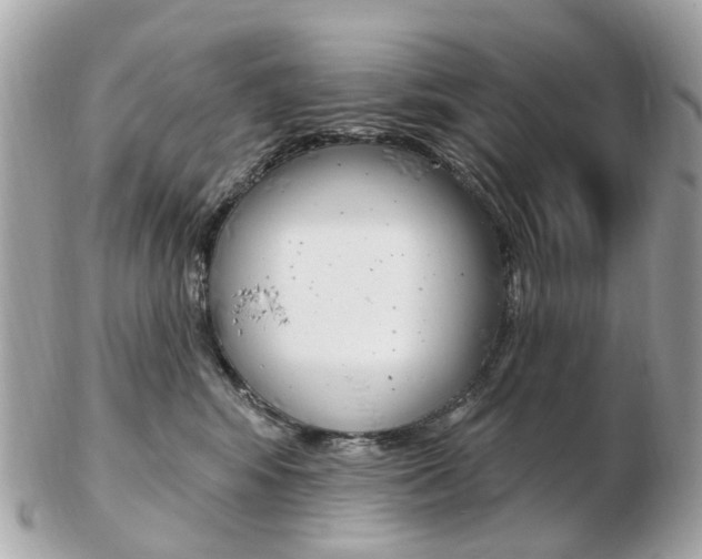 X0000103280424200808291050