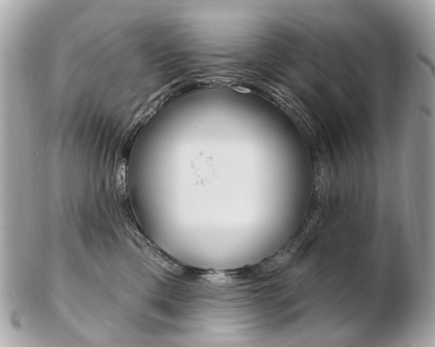 X0000103280425200808291050