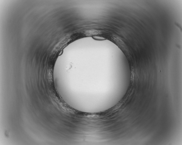 X0000103280426200808291050